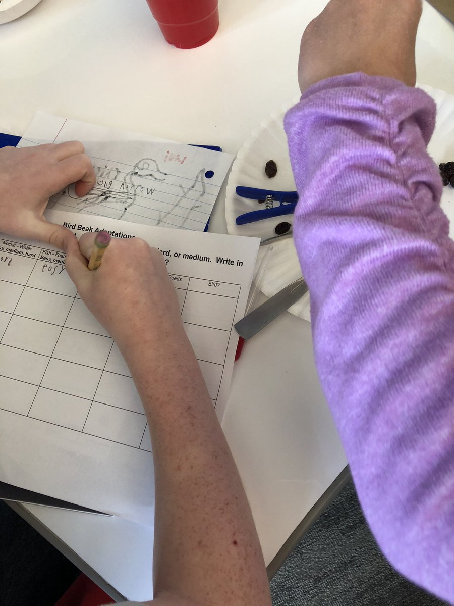 Fourth graders team up with the Kansas Department of Wildlife to explore plants, animals and habitats with hands-on experiments and real world connections!  <a href="/Miss_Lamp/">Kelly Lamp</a> @WSEregier @JagerTaylor <a href="/WSELibrary/">Wolf Springs Library</a>