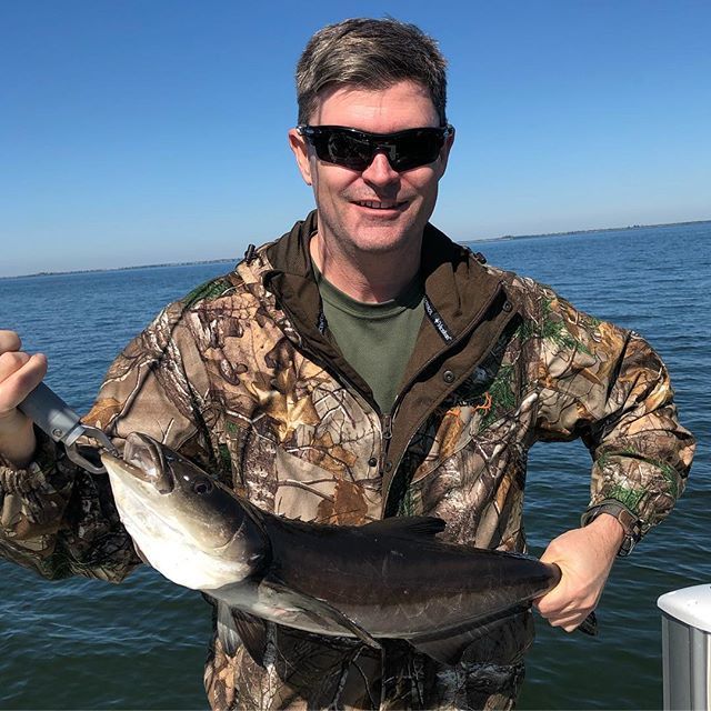 TellTaleFish's tweet photo. Fun trip to the Nature Coast this weekend, especially catching this little #cobia on light tackle with a swim jig #crystalriver #flatsfishing #floridafishing #saltwaterfishing #naturecoast https://t.co/nesydqsNSG https://t.co/1XVLIpAHIi