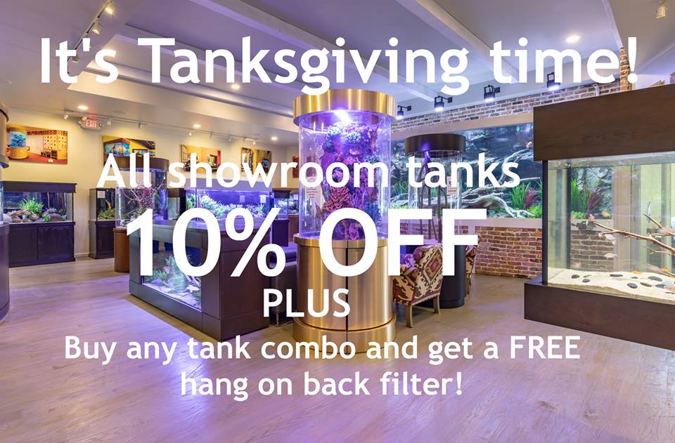 FGFlow's tweet image. Thanksgiving specials all week! 10% of all showroom tanks and a free hang on back filter with tank combos. Check back for our Black Friday and Small Business Saturday Specials!!!