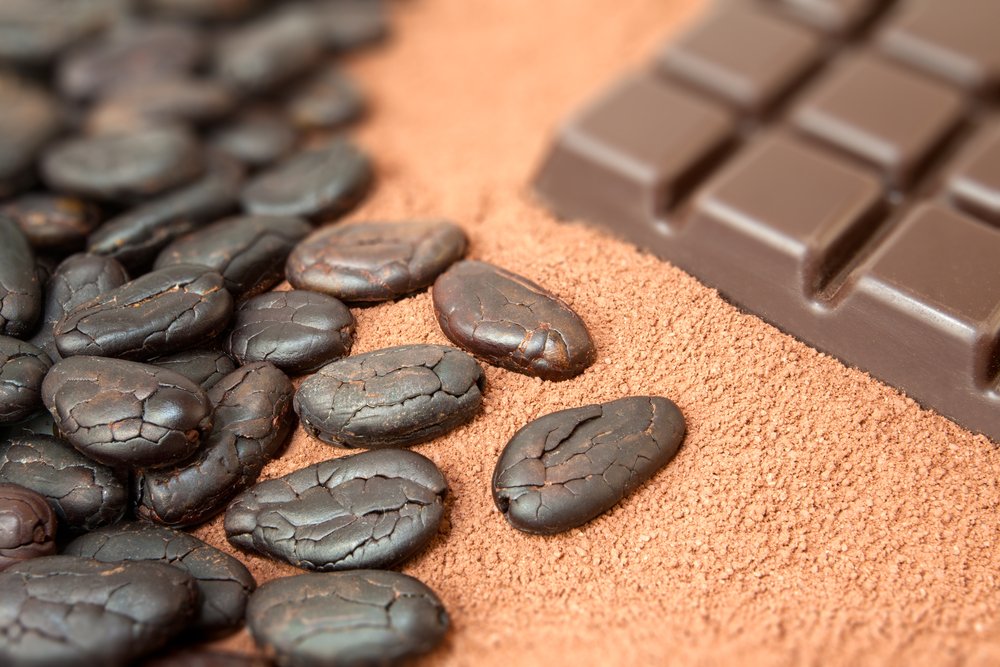 AfDB_Group's tweet photo. #DidYouKnow Africa produces about 75% of the 🌍's cocoa, yet, the continent gets just 5% of the US$100 billion annual chocolate market value? On #AfricaIndustrializationDay we say it's time to #IndustrializeAfrica,  develop cocoa value chains and process chocolate in Africa! 🍫 https://t.co/1B66HjGNY9
