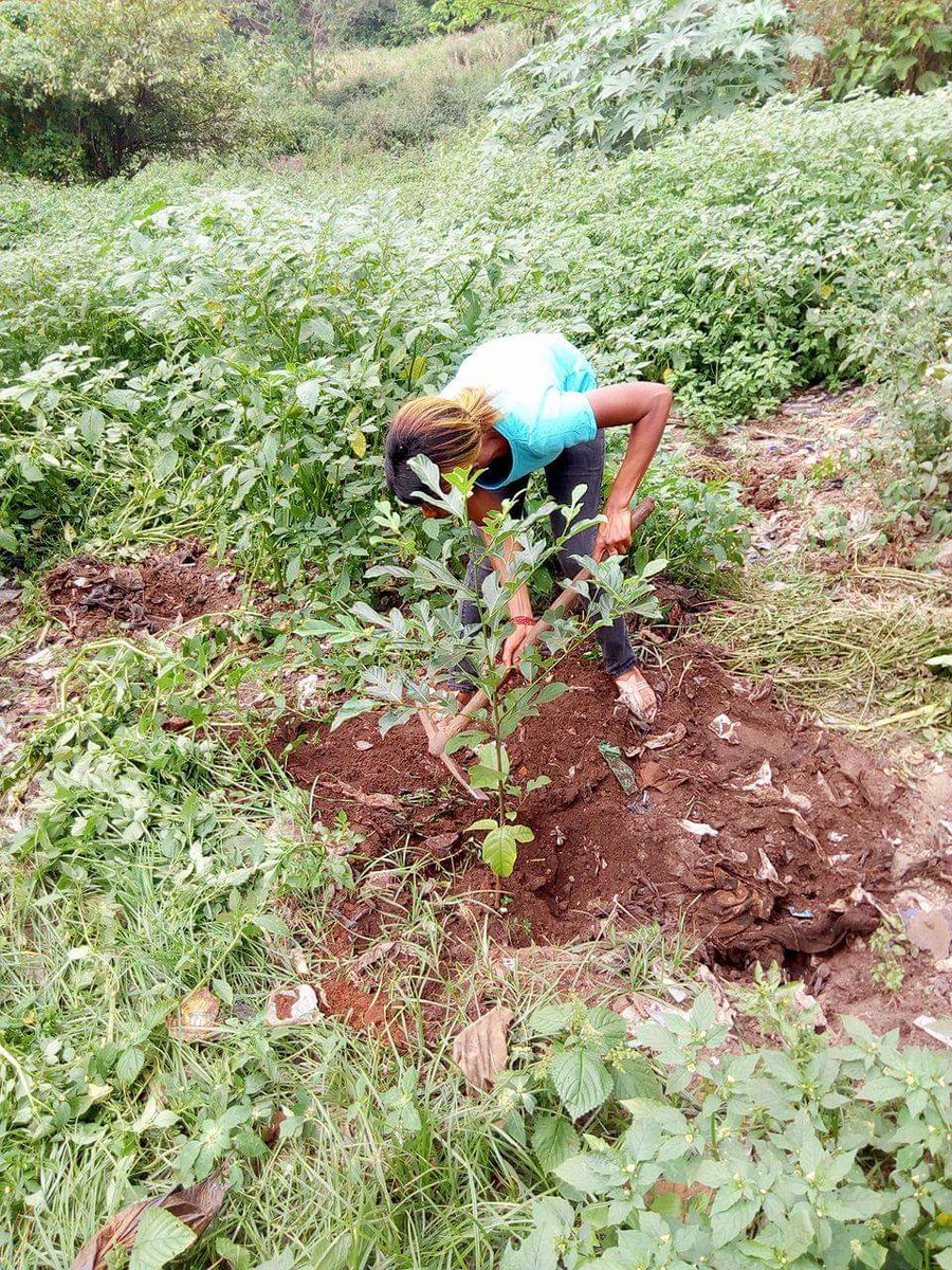 SChectal's tweet photo. Pour lutter contre le réchauffement climatique cette fille du nom de Kadiatou Diawa a elle aussi décidé de suivre mon initiative le #ChectalChallengeUnAnniversaireUnArbre .
Félicitations pour cet acte citoyen.
Ensemble luttons contre le réchauffement climatique. https://t.co/bZSrN0ujsE