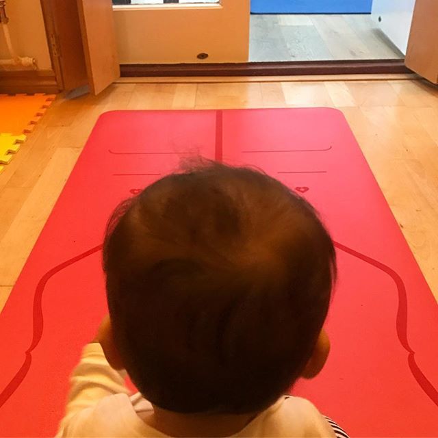 littlehaque's tweet photo. A little bit of home practise with this one before I head out to teach...Who is coming tonight?? 6.30PM @theyogaquarter Bikram 90

#yoga #practise #teach #homepractise #moving #stretching #mentalhealth https://t.co/BguEYppSSz https://t.co/7QWGtCPCs2