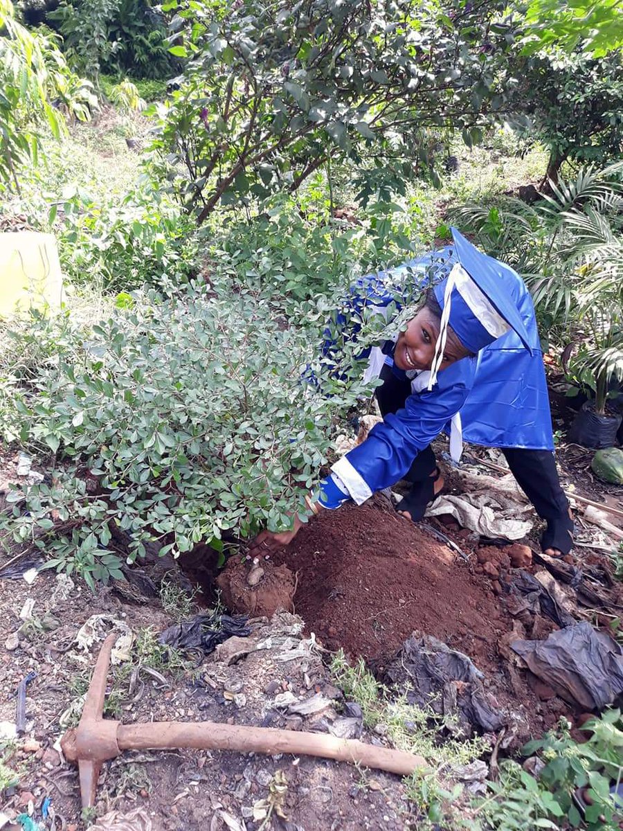 SChectal's tweet photo. Le 17 novembre était le jour le plus important de cette fille du nom de rouguiatou Diallo car c'était le jour de sa remise et celui de son anniversaire ainsi pour célébrer son anniversaire elle a décidé de planter un arbre .
#ChectalChallengeUnAnniversaireUnArbre. https://t.co/F8J03IFZ4y