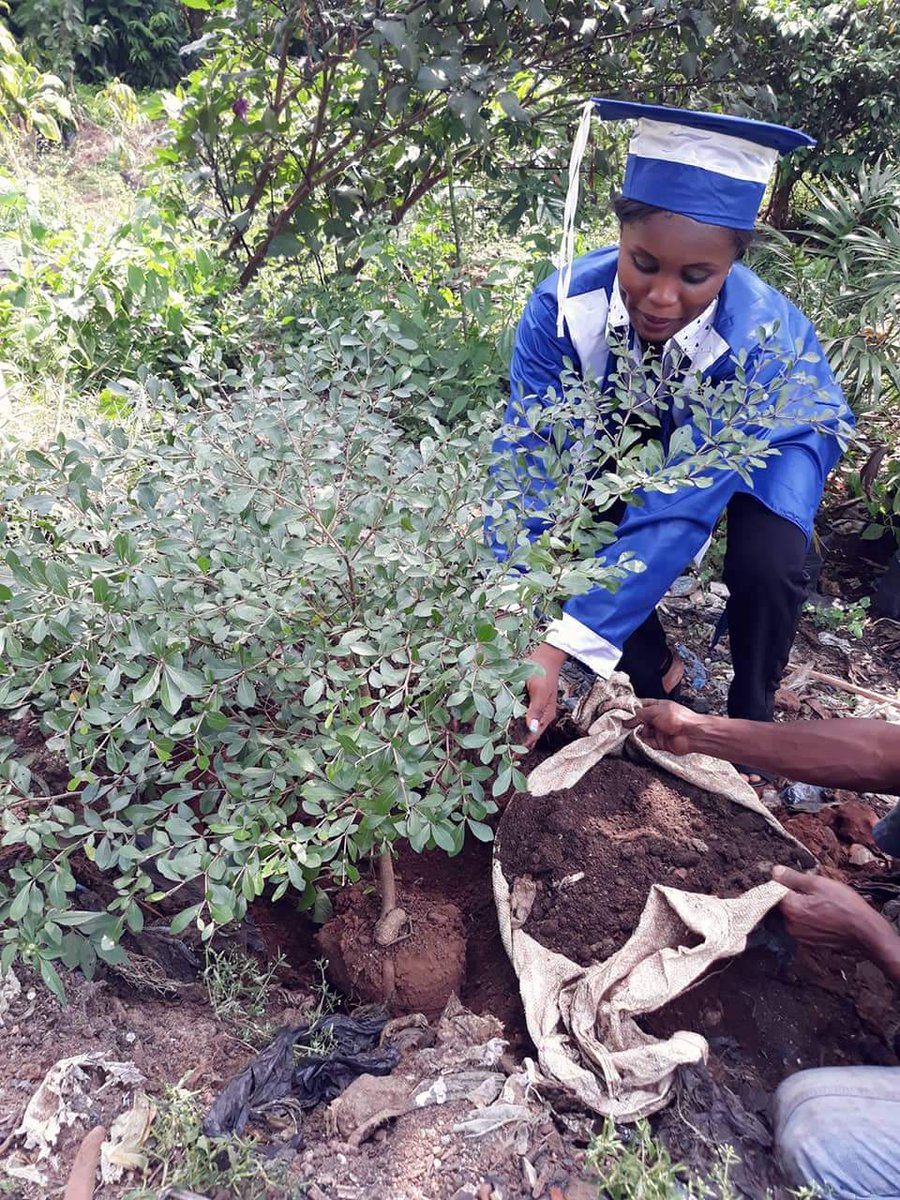 SChectal's tweet photo. Le 17 novembre était le jour le plus important de cette fille du nom de rouguiatou Diallo car c'était le jour de sa remise et celui de son anniversaire ainsi pour célébrer son anniversaire elle a décidé de planter un arbre .
#ChectalChallengeUnAnniversaireUnArbre. https://t.co/F8J03IFZ4y