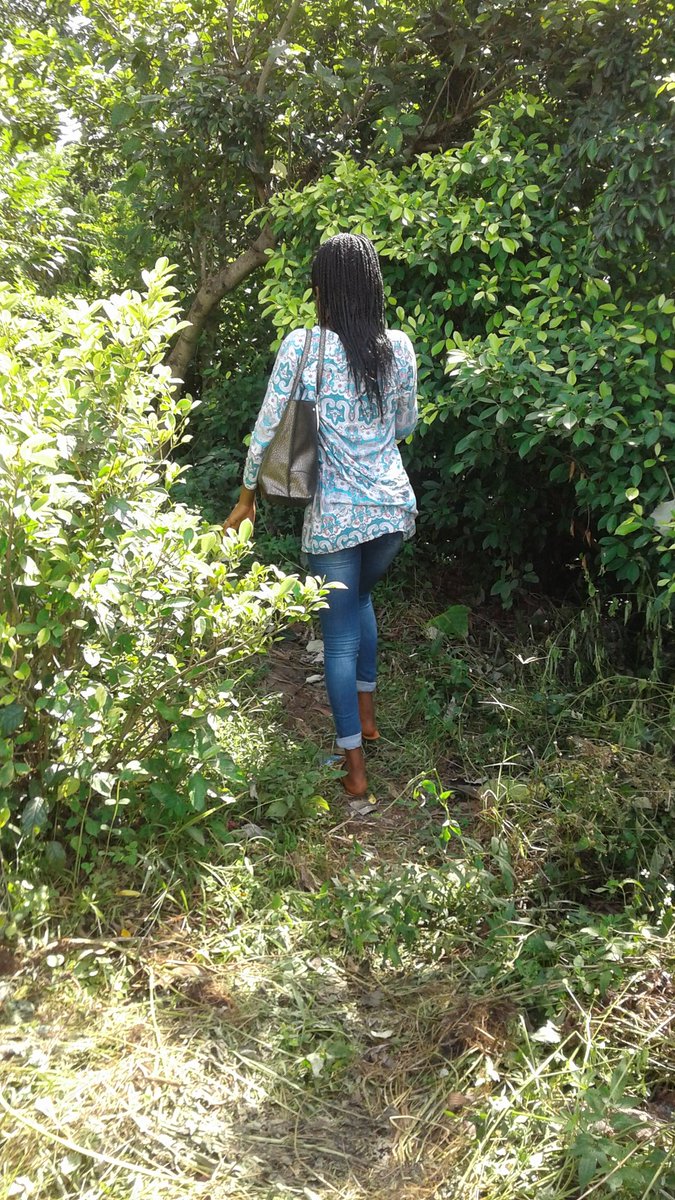 SChectal's tweet photo. Le #ChectalChallengeUnAnniversaireUnArbre continue à impacter la jeunesse cette fille aussi du nom de Hadja Safiatou Bah à décidé de planter un arbre à l'occasion de son anniversaire aujourd'hui 19 novembre 2018.
Ensemble luttons contre le réchauffement climatique. https://t.co/ftHgY9NxPS