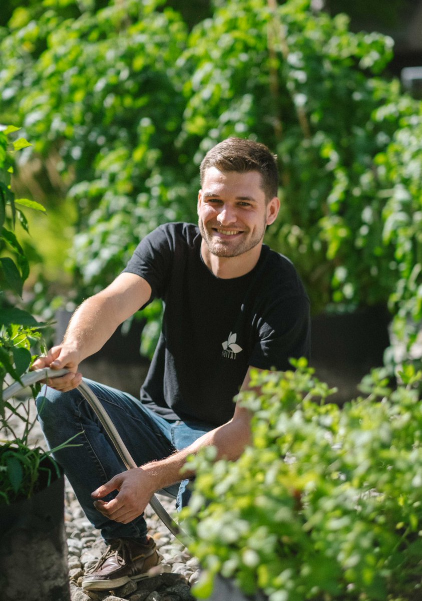 microhabitat_ca's tweet photo. "Urban agriculture is at the crossroads of many of my interests, but what really made me want to join the team is the philosophy behind the company." @LinJrm 👨🏻‍🌾

Meet Jérôme Lin 👉 https://t.co/O2f3fRWMHX

#urbanagriculture #foodproduction #sustainability https://t.co/t364kglN9k