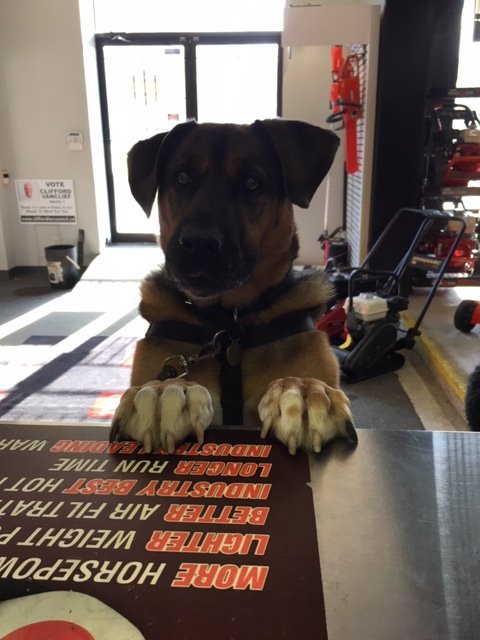 Cambridgesmallmotors At Csmmotors Twitter