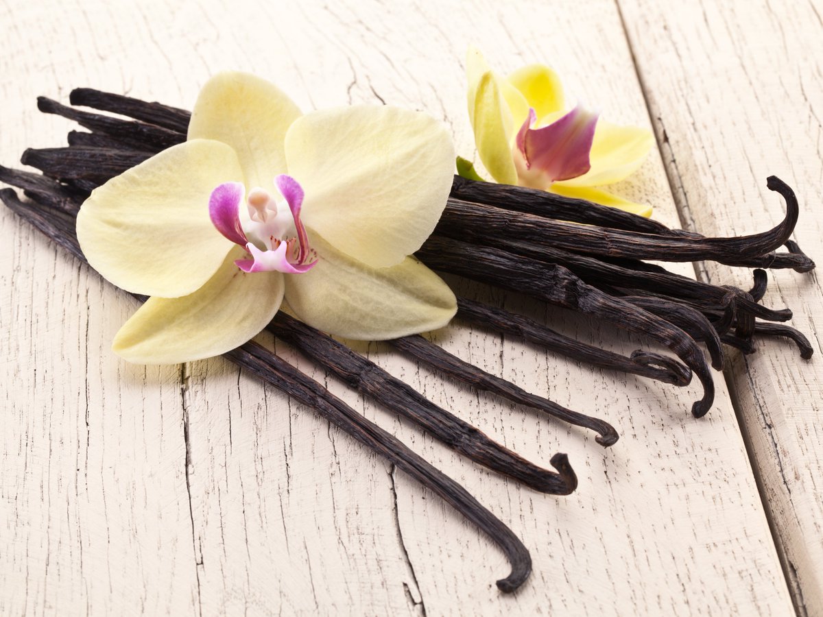 JamesPhKotsybar's tweet photo. While the #vanilla flower is seldom used to represent vanilla, nonetheless, this seed pod of an orchid escaped regulation by #CITES (Convention on International Trade of Endangered Species) by finding its #Commercial way into food, make-up and fragrances. #TooBigToRegulate 🤑 https://t.co/kVoTUnXLlH
