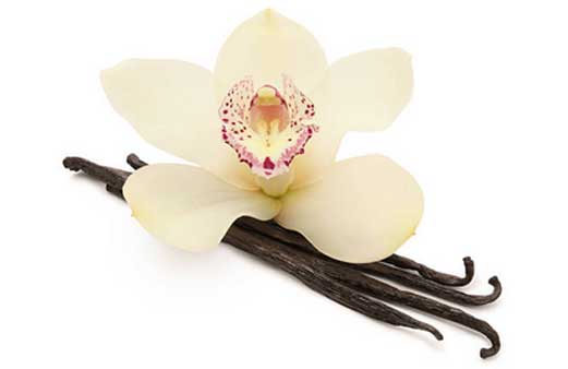 JamesPhKotsybar's tweet photo. While the #vanilla flower is seldom used to represent vanilla, nonetheless, this seed pod of an orchid escaped regulation by #CITES (Convention on International Trade of Endangered Species) by finding its #Commercial way into food, make-up and fragrances. #TooBigToRegulate 🤑 https://t.co/kVoTUnXLlH