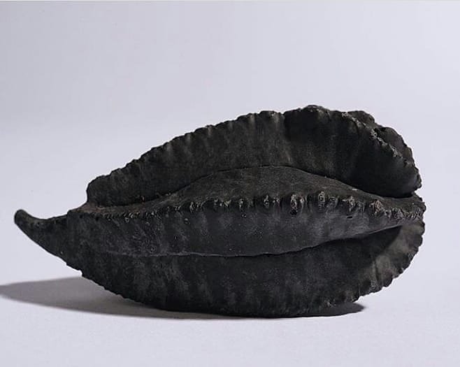 PMSA_Sculpture's tweet photo. LOVE this new work from @learosekara OUR #PMSAmentoring programme student who is being mentored by @jrewild VPRSS with INVALUABLE studio visits! great to see Lea's practice evolving and experiments with film &amp; photography GO LEA! #learosekara #julianwild #sculpture #PMSAeducation https://t.co/86Pn5LlNoM