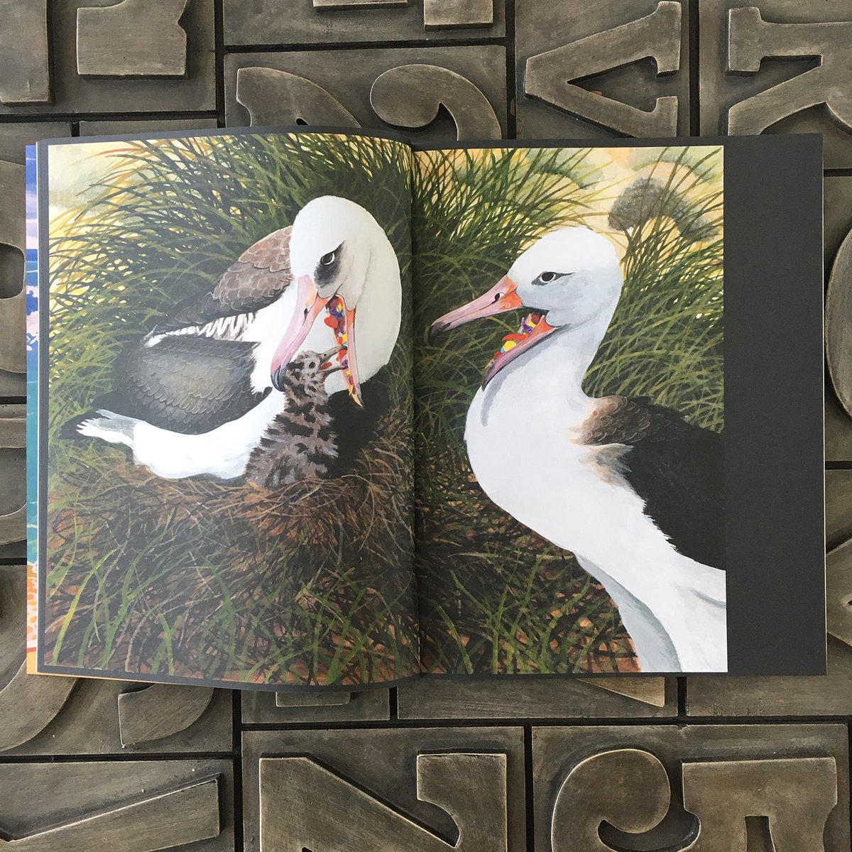 PureprintGroup's tweet photo. Honoured to produce a publication with such an important message. Heart wrenching illustrations in ‘Sea of Plastics’ by Tony Common for Handheld Publication. Cover on @DenmaurPaper Revive 100 Offset-Carbon Balanced FSC® 100% Recycled paper #environment #seaofplastic #sustainable https://t.co/73p5GOVQsS