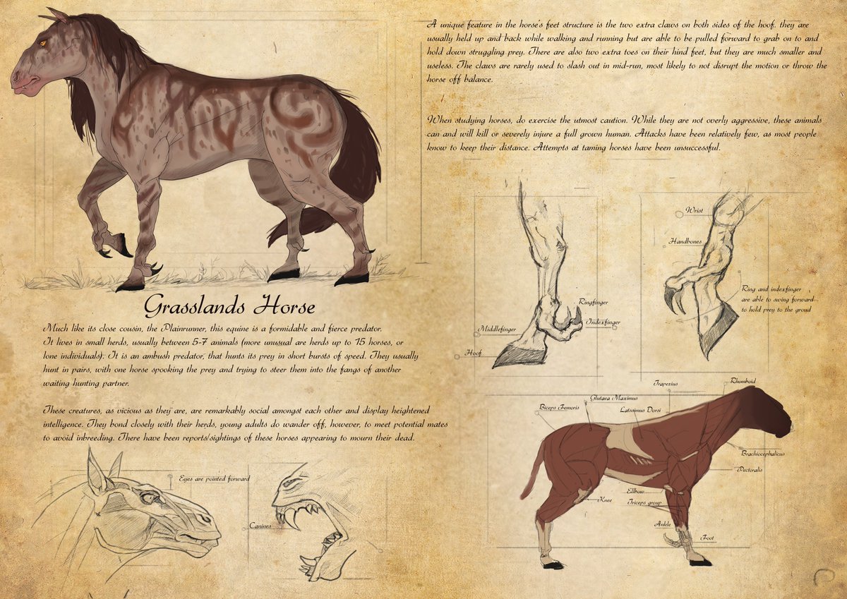 The_Gremlin_Cat's tweet photo. paaart one of a creature almanac entry for them pretty little horseys... th entries aftr the horse one will most probably be done in actual watercolor #horse #carnivore #alternativeevolution #multipleuniverse #equine #predator #book #project #illustration #study #oldtimey https://t.co/BehbQy88Sc
