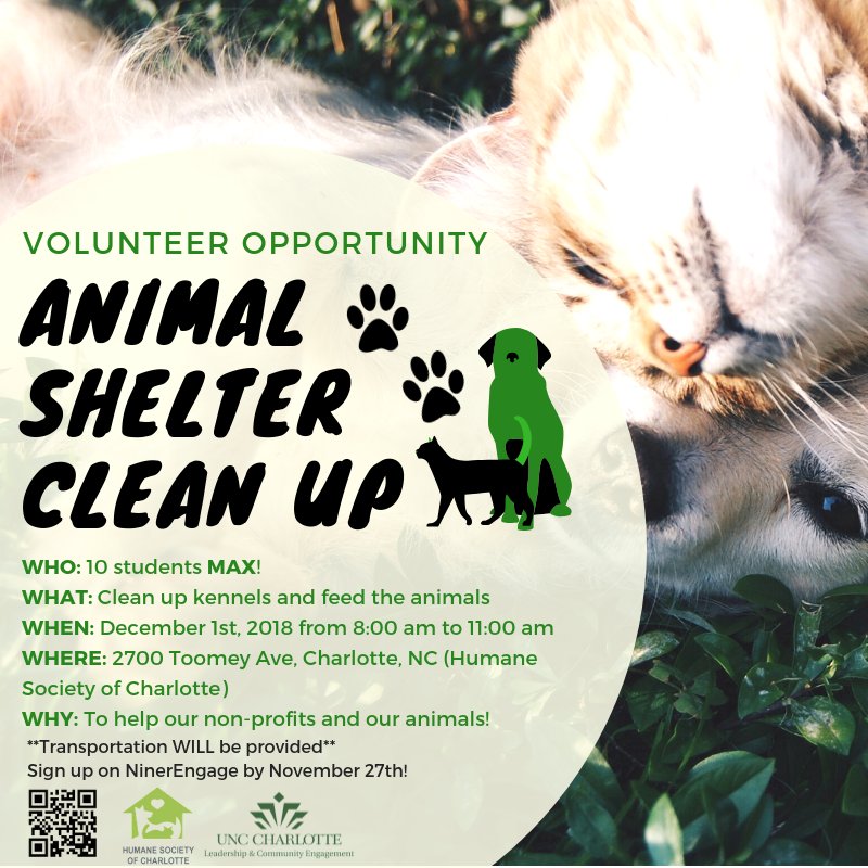 Love animals? Want to impact the lives of animals in shelter? Join us in our Animal Shelter Clean Up volunteer event on December 1st. Transportation WILL be provided! Only 9 spots left so do not wait! 🐈🤙🏾🐕