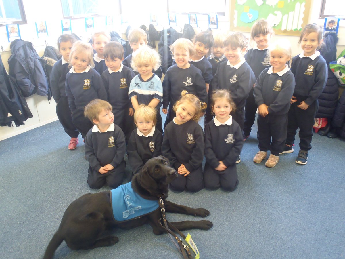 RanbyHouse's tweet photo. Nursery children met Joy, a 10 month old guide dog puppy in training. She came with her trainer, Sarah to tell the children all about the work of guide dogs.  We were allowed to stroke Joy, but only when she wasn't wearing her special service jumper. https://t.co/jwkbo9totJ