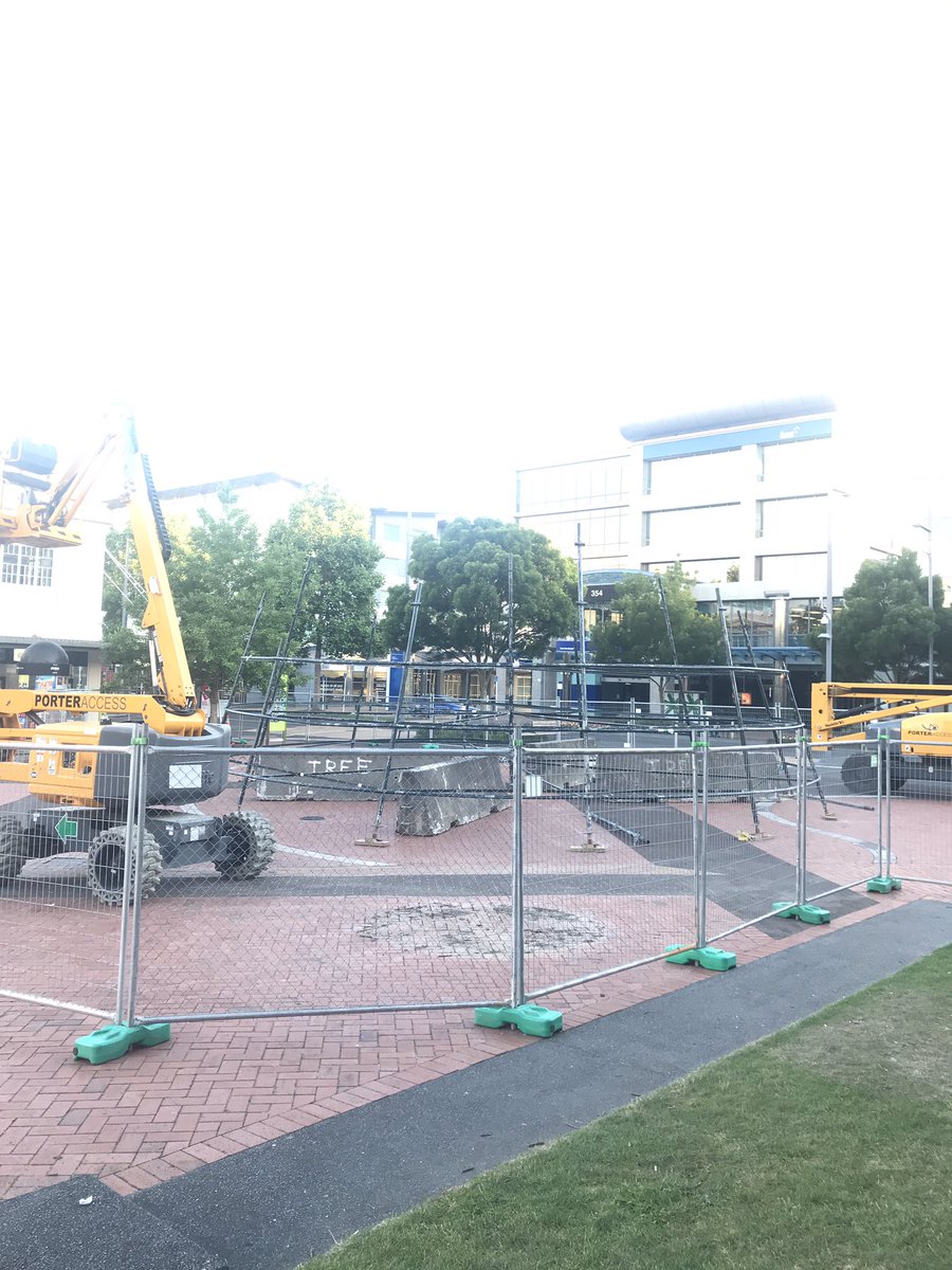 Wugga's tweet photo. It’s happening. #treewatch2018 https://t.co/KqBEsZrFHq