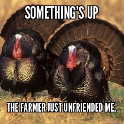 dcbConstruction's tweet photo. We are on the hunt to add to our fantastic team. Don't be a turkey, come check out our newest postings... we are so very thankful! #teamdcb https://t.co/LtvxbzWPDm https://t.co/nO2j54Zh96