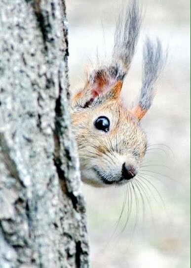23ljilja's tweet photo. @elinegabriel @KingJohn1776 @mami_mami813 @Gerryscot1 @lisasmith2341 @lalipopbubbles @JenaC2 @HeidiStea @mofaizal09 @bettinaschroed5 @yuad127 @peac4love @Amber02150 Hello😉😊😘
#HappyNewWeekfriends
#GoodVibesOnly https://t.co/oPnslq7ywm