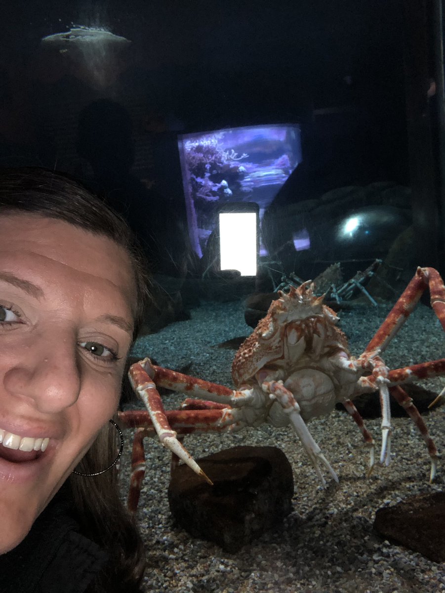 CCSU_STEM6's tweet photo. Thanks @mysticaquarium for a great visit! CCSU6 has a great time! @EHMiddle #NGSSeducation https://t.co/3diINZmKBT