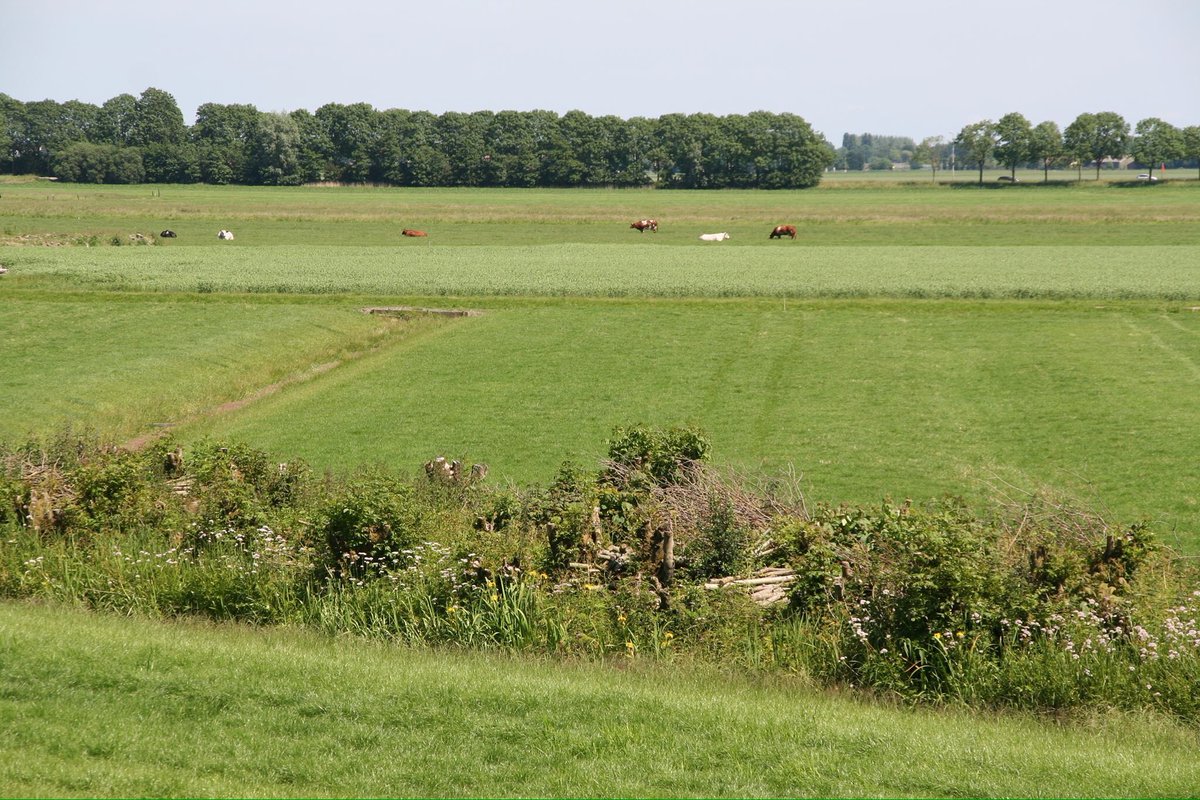 Energietransitie <a href="/HollandRijnland/">Holland Rijnland</a> zoals in gemeente #KaagenBraassem behoud biodiversiteit &amp; waarvolle landschappen: facebook.com/62503185419344…
