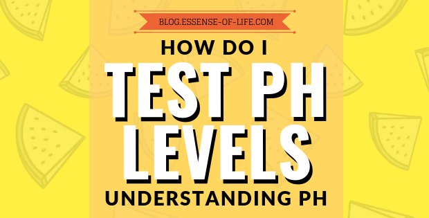 essenseoflife's tweet image. How do I test my pH? What foods are the most alkaline? Can I just drink alkaline water for best results? There is a lot of confusion about pH, and what raising your pH actually means. In this article we clarify these commonly misunderstood topics. #phtest blog.essense-of-life.com/how-do-i-test-…