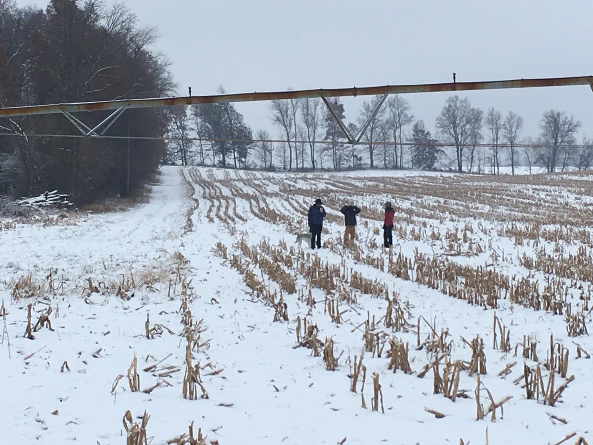 Landscape Ecology and Ecosystem Science Lab tweet media