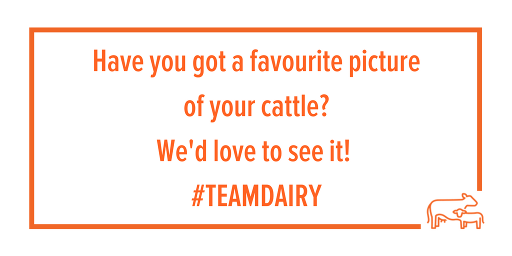 dairy_farmers's tweet photo. Share your pictures with us! Or better yet, videos! https://t.co/iqZCK2nyAa