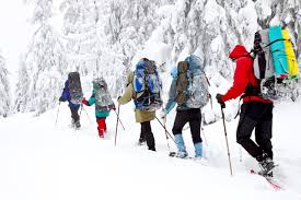 kaelin_lukas's tweet photo. #FD91miccheckyo hey guys, who is in mood for a winter hike??
I will go on a one day hiking trip during our Christmas break. I probably will be in north Vancouver, goat mountain or mount Seymoore. Who want to join? I will be a like 5-6 hours hike, you will need proper gear.... :) https://t.co/9o3I4Ax5lC