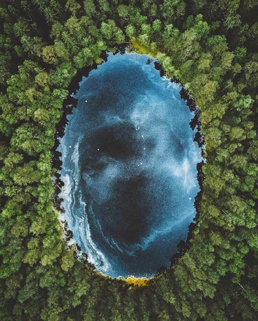 American Nomad tweet media