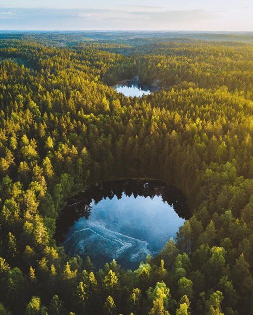 American Nomad tweet media