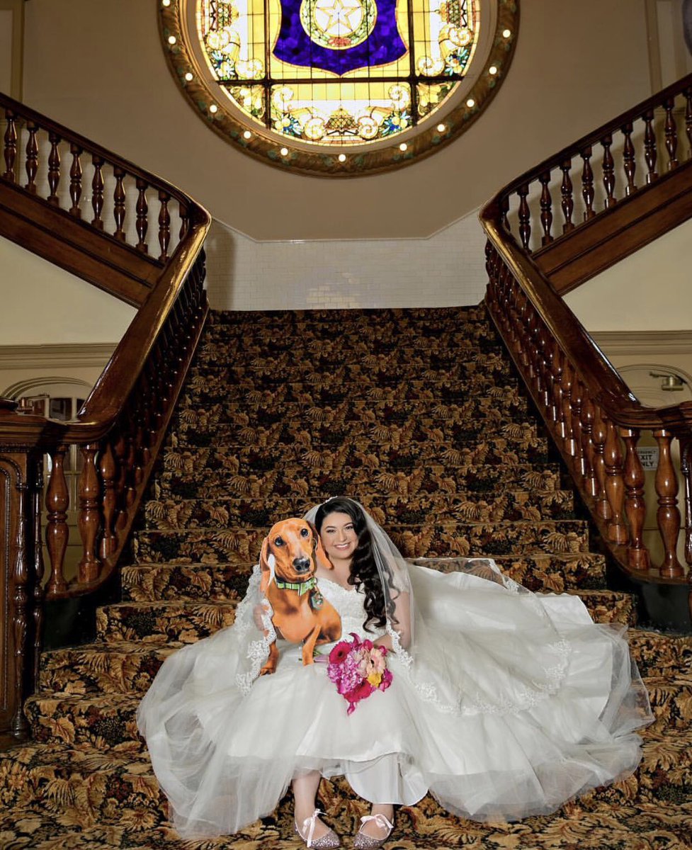 getcrowdsigns's tweet photo. Wedding venue doesn’t allow pets? No problem! Our BigFace signs aren’t just for humans! Your fur-baby can attend your big day, in spirit, with our custom cut-outs. 👰🏻💗🐶 Order Now👉🏼https://t.co/9433cI8EHY #CrowdSigns #GetBigFaced @elanImaging https://t.co/x0CFncwtUV