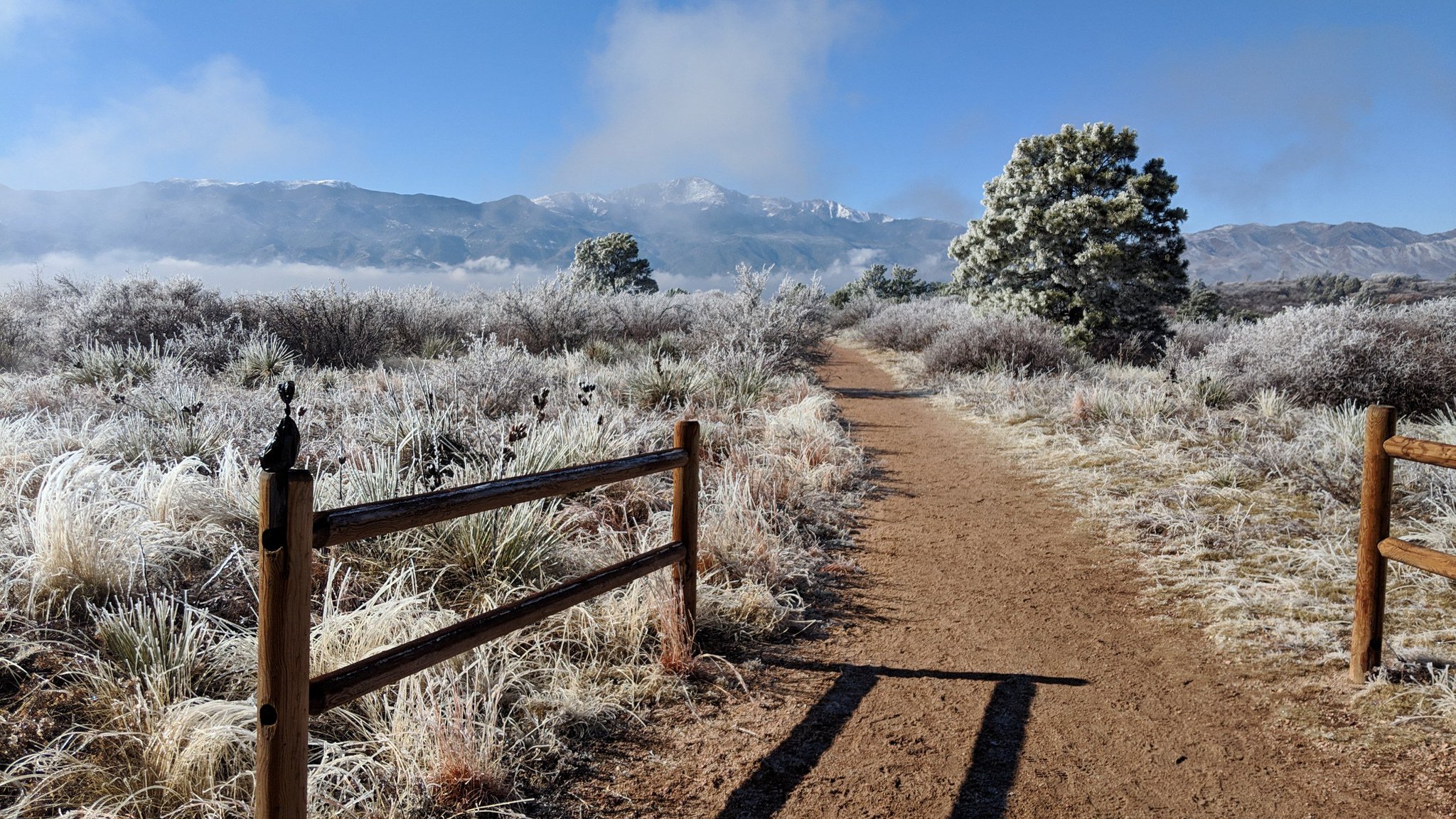 City of Colorado Springs on Twitter "Can you spot the bag of poop in