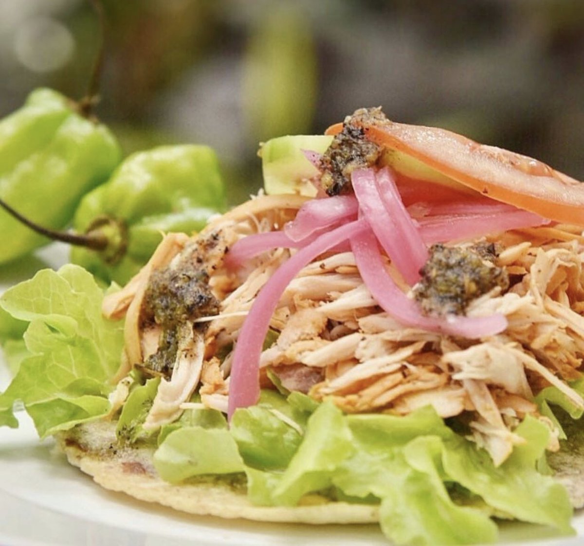 No dejes de probar estos extraordinarios panuchos yucatecos, con pavo asado al carbón y condimentos de Merida.