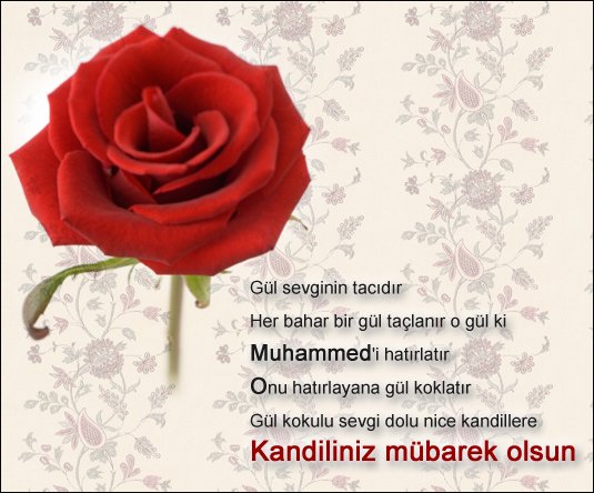 @Muammer_ce @SeyyidiNisa_ @CakirGozlum19 @delideli0618 @Sltn_Halime_IYI @yusufkorkmaz58 @evladi_fatiihan @beyhanozkan_ @KurthanAkkurt @HayatiRt Âmin Inşallah, Sağolasın Can 🤲🌹
Duâlarınızın Kabul Olması Dileğiyle Hayırlı Kandiller Dilerim Canlar 
🤗🌹🤲🌹