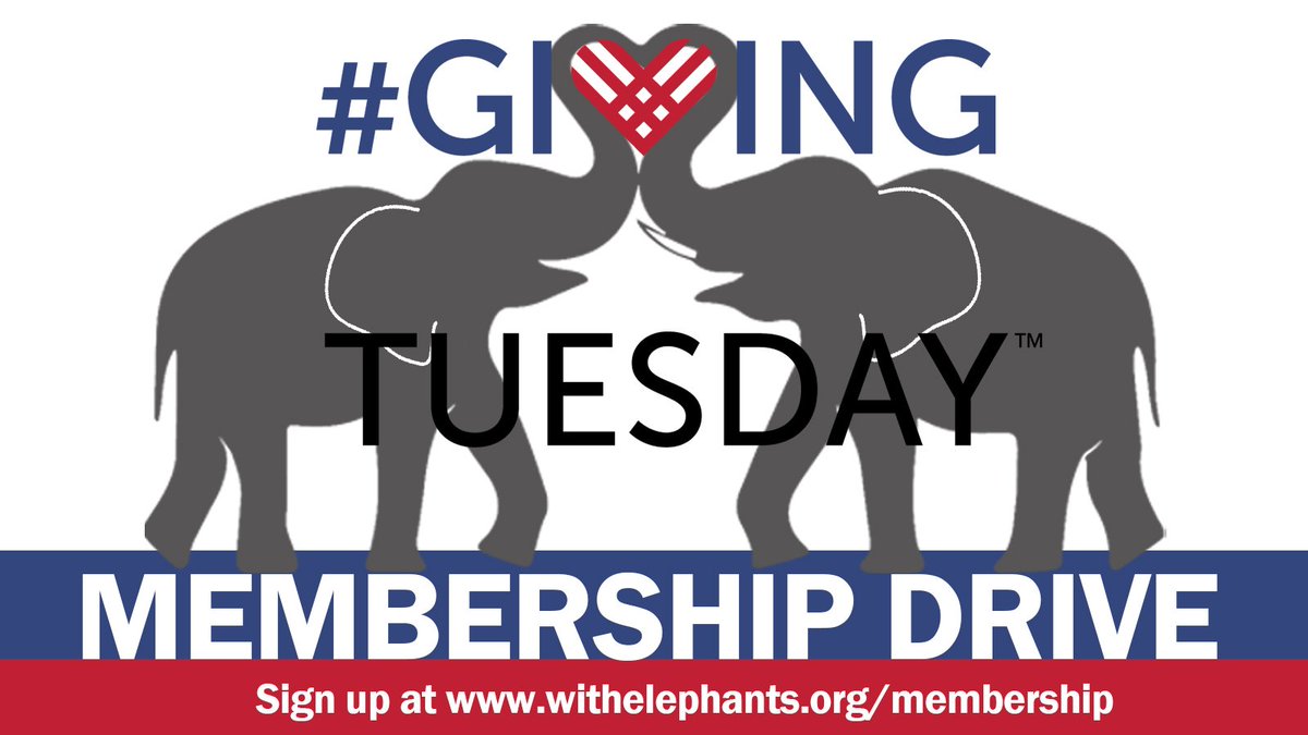 WithElephants's tweet image. Today is the kickoff of Living With Elephants Membership Drive! We need 50 new members to sign up by @GivingTuesday November 27 – please help us reach out goal! Memberships start as low as $5 a month.  #givingtuesday #elephant #elephants