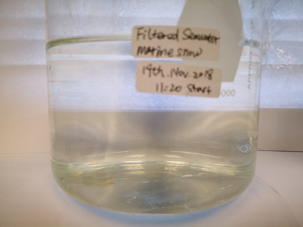DrLeipingYe's tweet image. Exicited to grow some proper real EPS using bioculture and nutrient seawater, for our future step of understanding #marineoilsnow #MOS #flocculation processes. @C_SOMIO