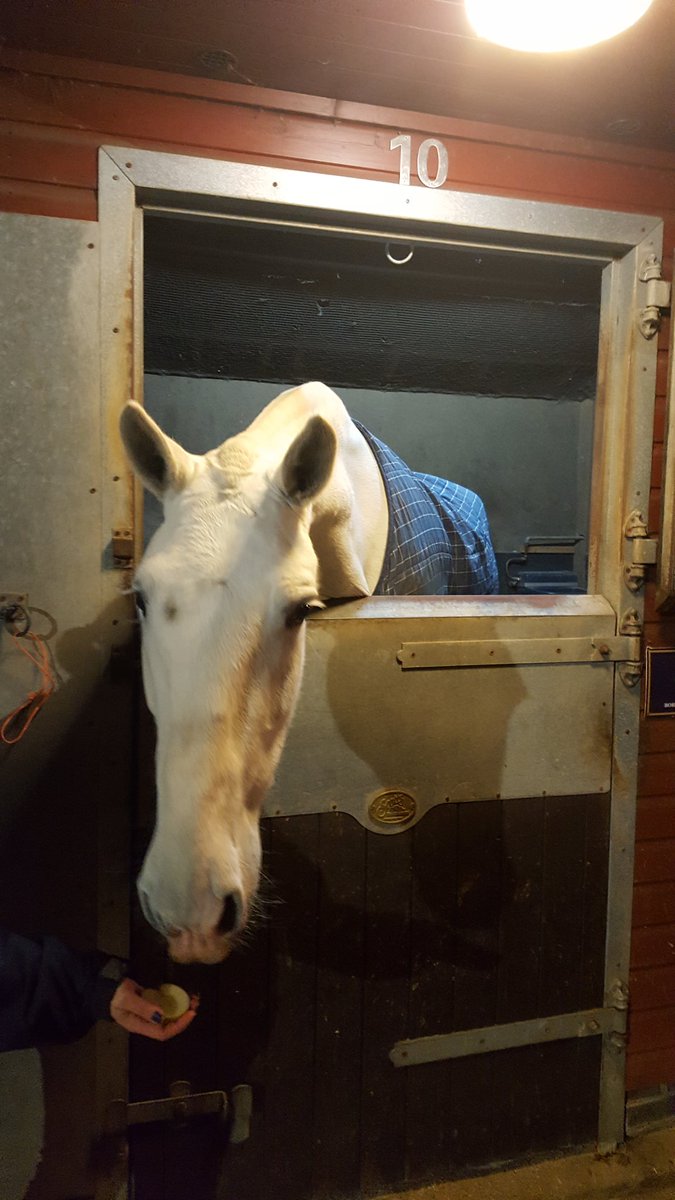 TVP_horses's tweet photo. Apple's for Aurora &amp; Odin tonight who located &amp; arrested a female on suspicion of assault in Milton Keynes 🍏🐴 P5927 https://t.co/Ayz40VEXJi