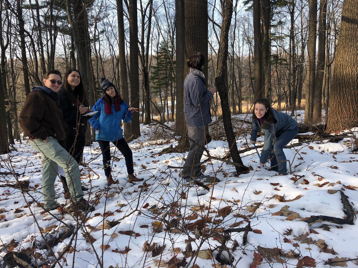IsabelDeWalt's tweet photo. Not even the snow could stop us from coring trees! Our group had the Black Cherries, most of which had small DBHs which made them difficult to core. #ees152 https://t.co/nMtlYQ63HT