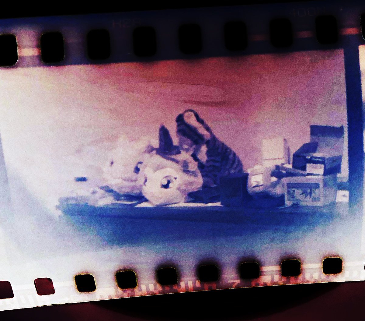 screwhogwarts's tweet photo. I tried my hand at developing #35mm #film with #wine. #winol https://t.co/pfmBFWq21p