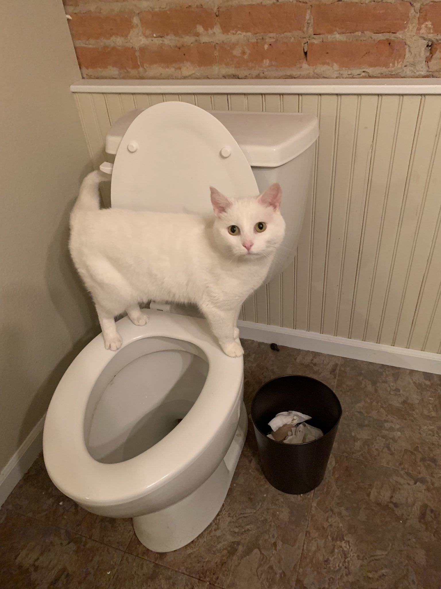 john mulaney carnival barker