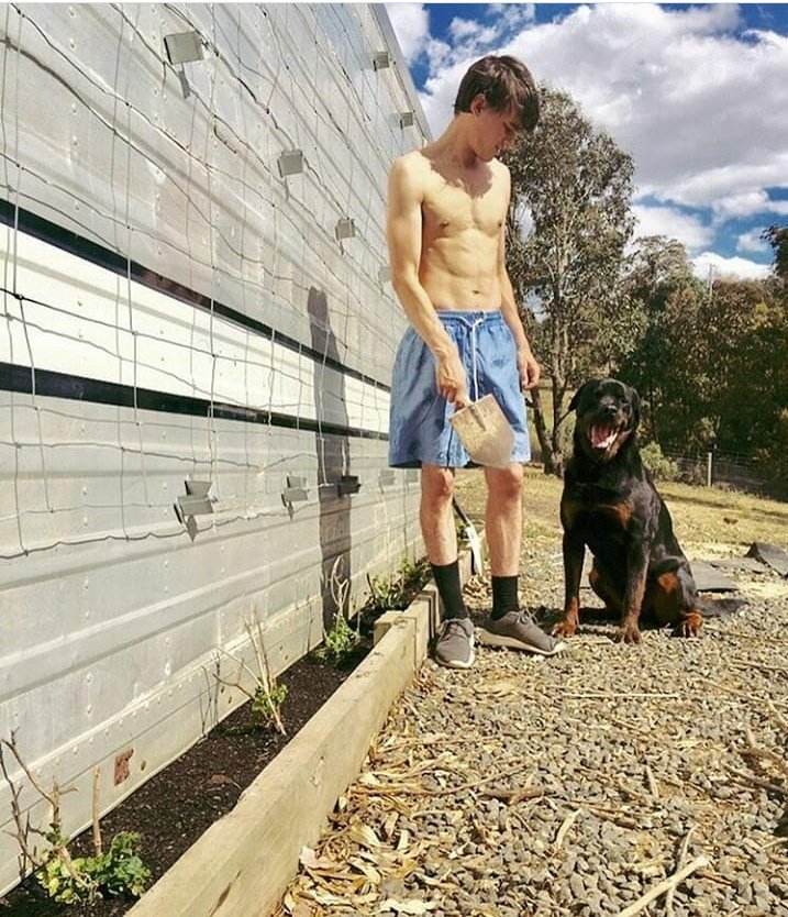 mitchhopefans's tweet photo. The lovely boys (with Harvey) https://t.co/s9YSuqkvpt