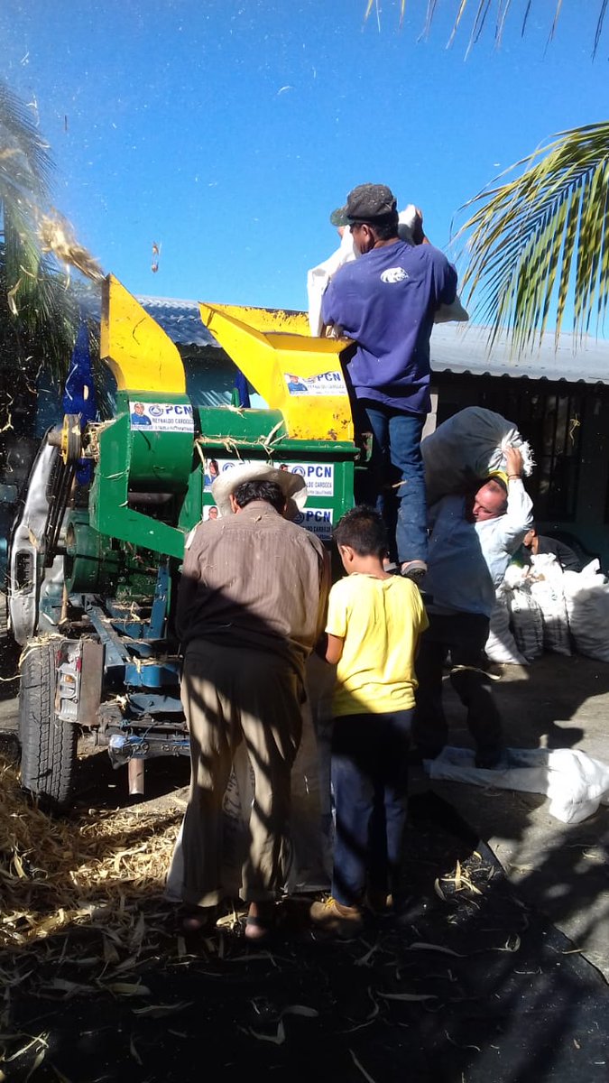 Dip_Cardoza's tweet photo. Y finalizamos con el resumen de las desgranadas de maíz en   #CalleNueva, en #LaPuntona del municipio de  El Paraíso.

Y en el  #Conacaste del municipio de Tejutla https://t.co/CdK61kEtgp