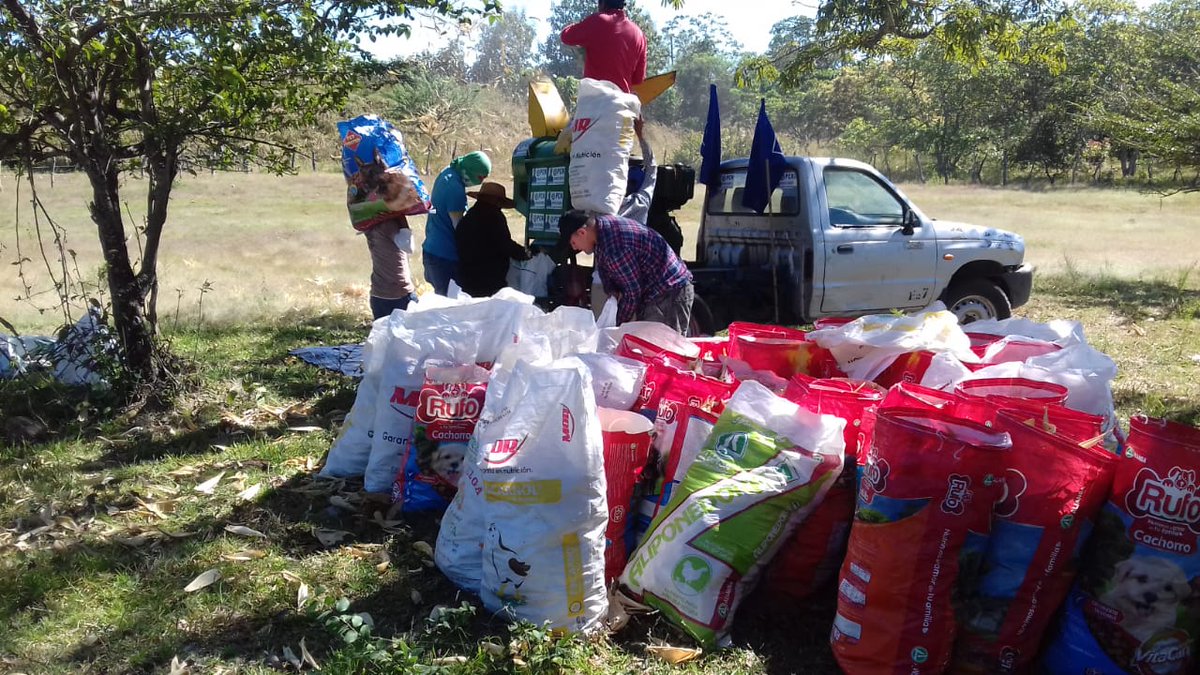 Dip_Cardoza's tweet photo. Y finalizamos con el resumen de las desgranadas de maíz en   #CalleNueva, en #LaPuntona del municipio de  El Paraíso.

Y en el  #Conacaste del municipio de Tejutla https://t.co/CdK61kEtgp