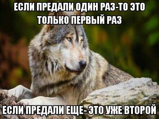 rus_4chan's tweet photo. https://t.co/kv49eXARXW
