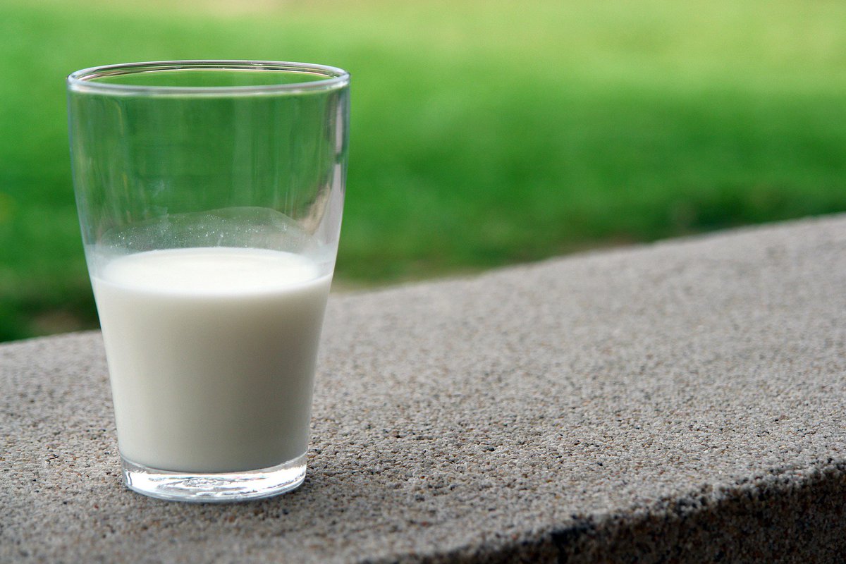 DenverAllergy's tweet photo. Did you know milk is the most common food allergy for children under 5? A new study says many cases are not diagnosed and parents are unprepared. https://t.co/xtN0czQIdK

#FoodAllergies #KidsHealth https://t.co/1CinLGeK2v