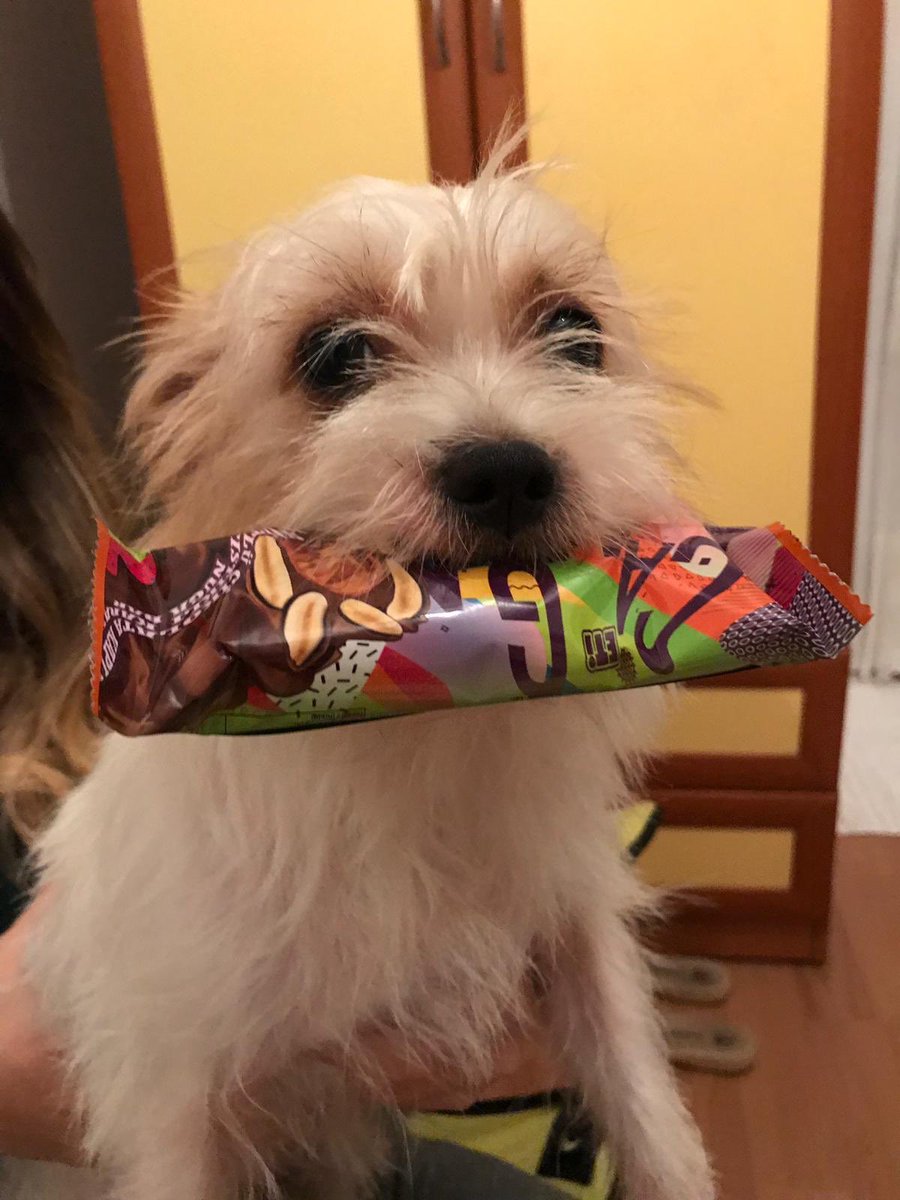 Mutluluk denince akla hemen onun adı gelir Eti Eti Eti 😁 biz yeni ambalajı ile Canga'ya bayıldık 😍 <a href="/eti/">Eti</a>