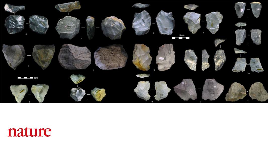 NaturePortfolio's tweet photo. The earliest prepared-core Palaeolithic stone tools from China are reported in a paper published in Nature. The tools date back to between 170,000 and 80,000 years ago, filling a gap in the Asian archaeological record https://t.co/uVvXZnHHuz https://t.co/CKbY2oDIC4