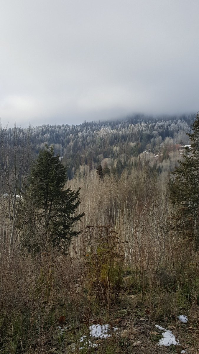 CosmicVortex72's tweet photo. #I #love #living #in #the #mountains. ☮❤🕉 https://t.co/nsOtfp9B9s
