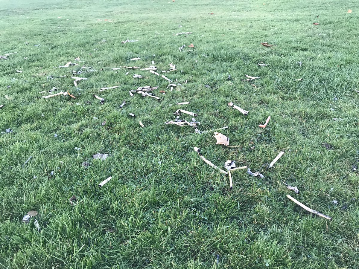 dandanruns's tweet photo. How can a pyro company leave this behind @burnleycouncil ? In the middle of Townley Park? Fuse/tubes and remains of shells! When we do displays we clean up and leave the site as we found it! Not good for dogs/kids or anyone playing sports on the grass (full of wire and plastic) https://t.co/L9ep8eGoRB