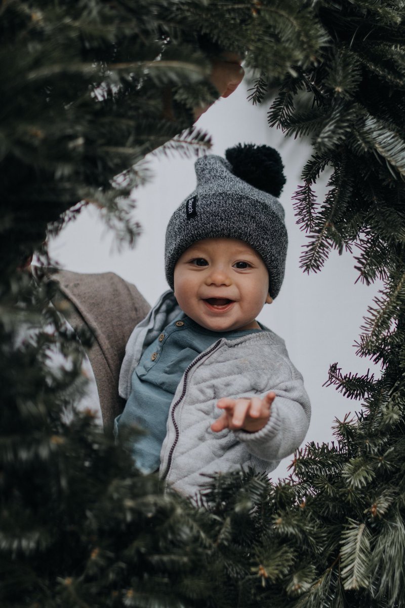 amandal_wells's tweet image. I think we know what he wants for Christmas. #twofrontteeth