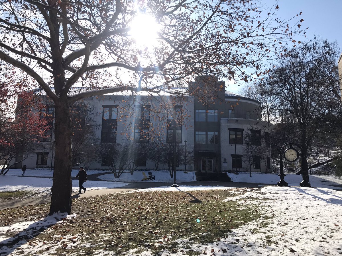 Becki Bellito tweet media